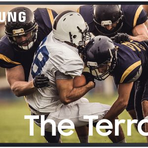 Samsung 75" The Terrace Black QLED 4K UHD Outdoor Smart HDTV - QN75LST7TAFXZA
