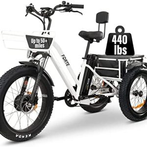 RETORO Three-Wheel Electric Bicycle, 40-Mile Long Distance Adult Tricycle, Foldable Tricycle, 750W Motor Sports & Outdoors